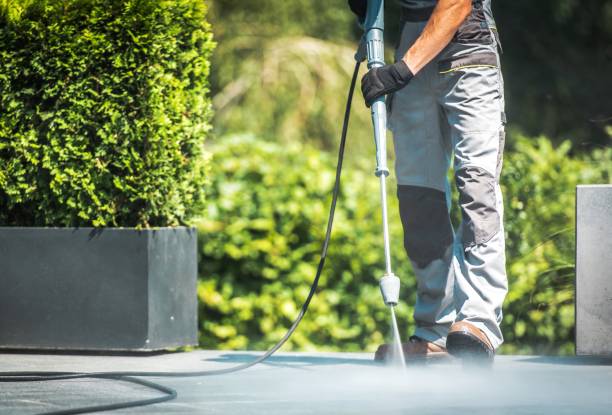 Best Soft Washing  in Fort Pierce, FL